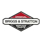 BRIGGS & STRATTON originalios dalys